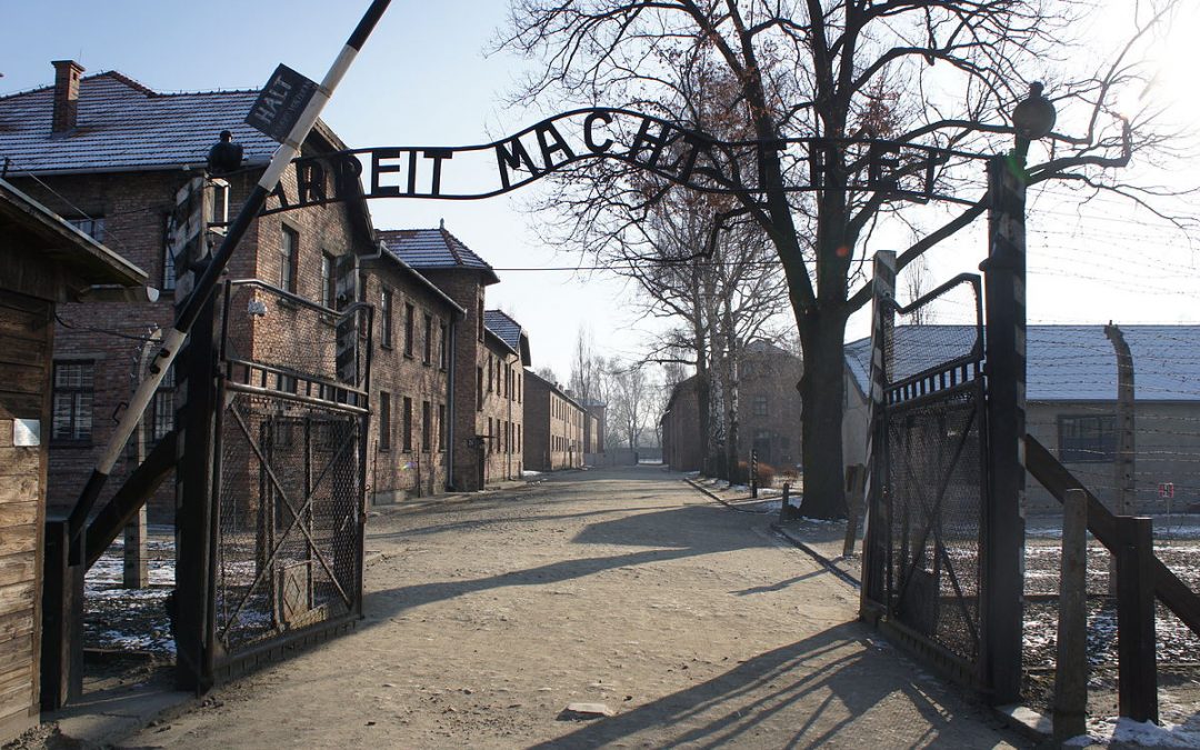 Predappio, PD: “Ci offriamo di coprire le spese per il viaggio ad Auschwitz”